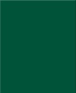 RAL 6005 mat
