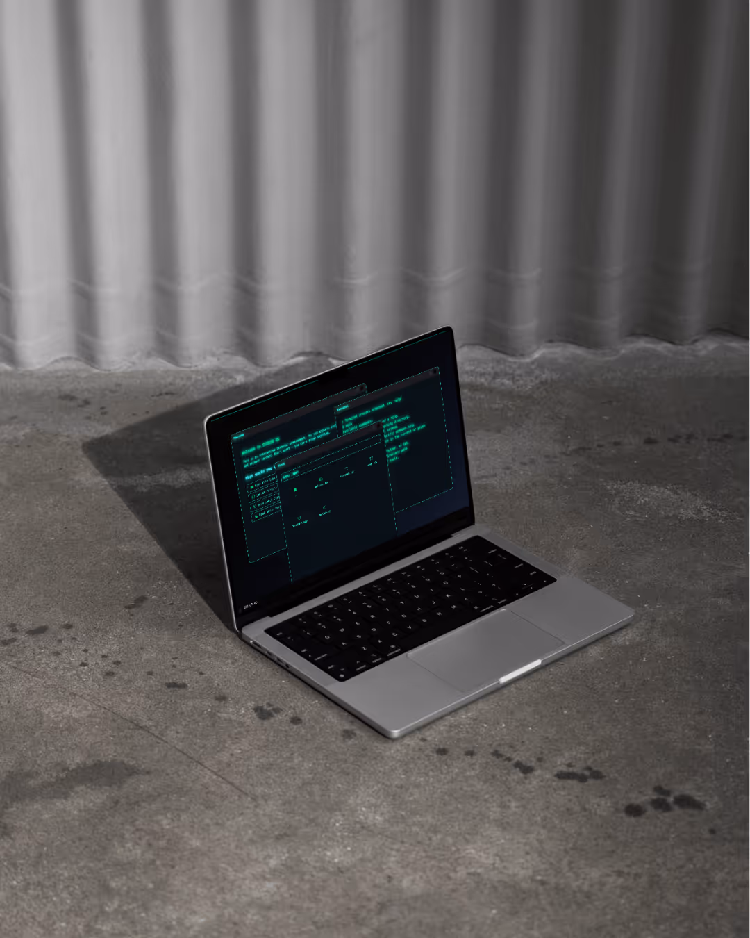 Steezr OS on a laptop.