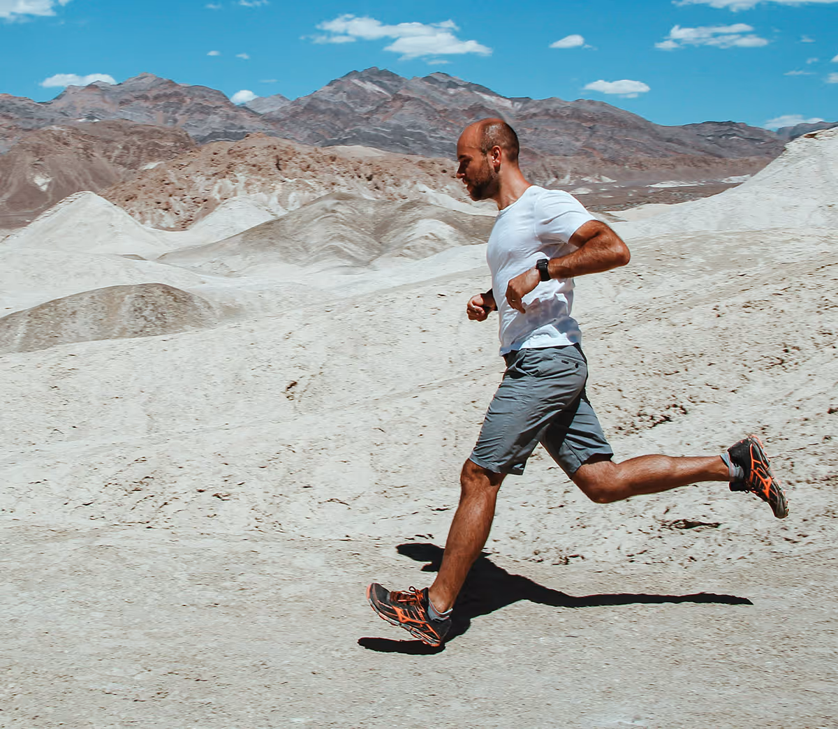 image of the clinic reception area (for a veterinary clinic)