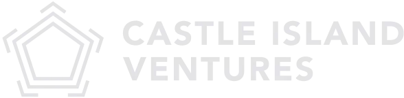 Castle Island Ventures logo in white.