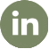 LinkedIn Icon