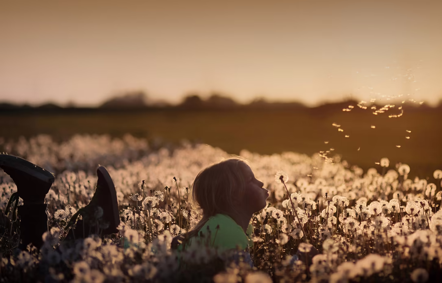 Photo of a child lying down on a bed of Dandelions. She is holding one of them on her hand and blowing it towards the field.