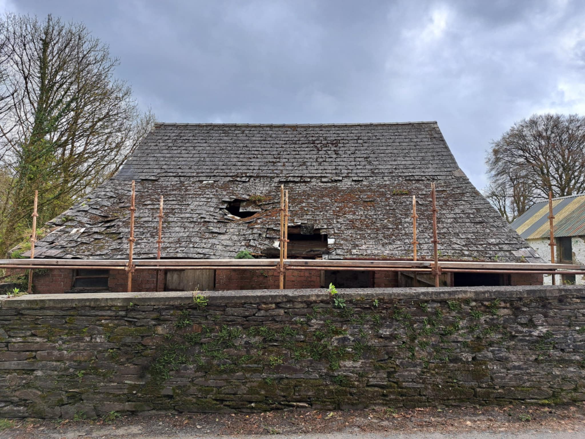 Barn with new metal roof, side angle, trees behind.