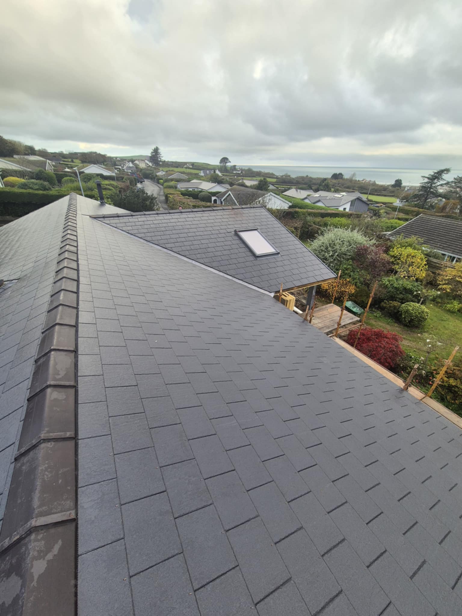 Close-up of a grey finished roof, modern house and trees behind.