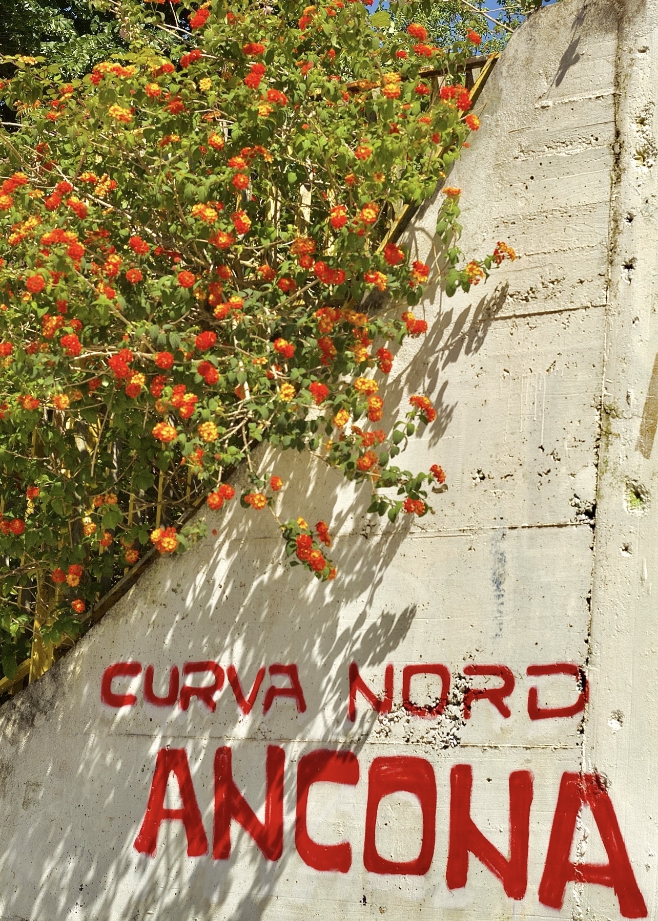 Photographie de Prisca Merlin. Tag sur un mur avec fleur. 