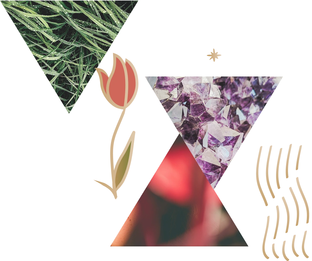 Prism Wellness - Homepage - Newsletter CTA - Righthand Design Element