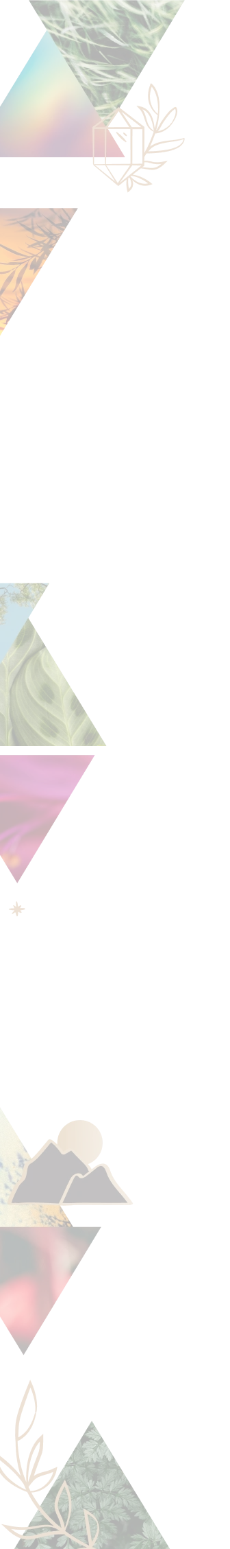 Prism Wellness - Holistic Therapy - Lefthand Design Elements