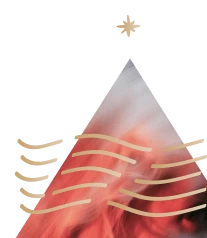 Prism Wellness - Psychedelic Therapy - Hero Banner - Righthand