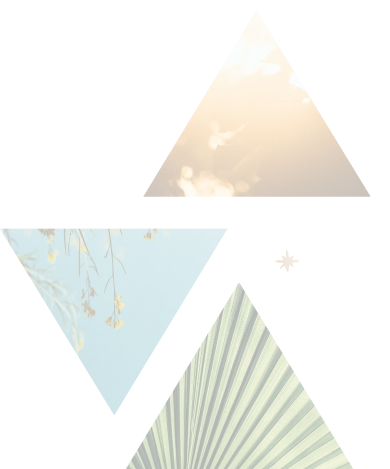 Prism Wellness - Psychedelic Therapy - Integration Process - Lefthand