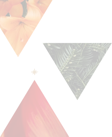 Prism Wellness - Psychedelic Therapy - Ketamine Process - Lefthand