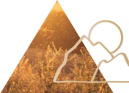 Prism Wellness - Community + Wellness - Hero Banner - Righthand Element