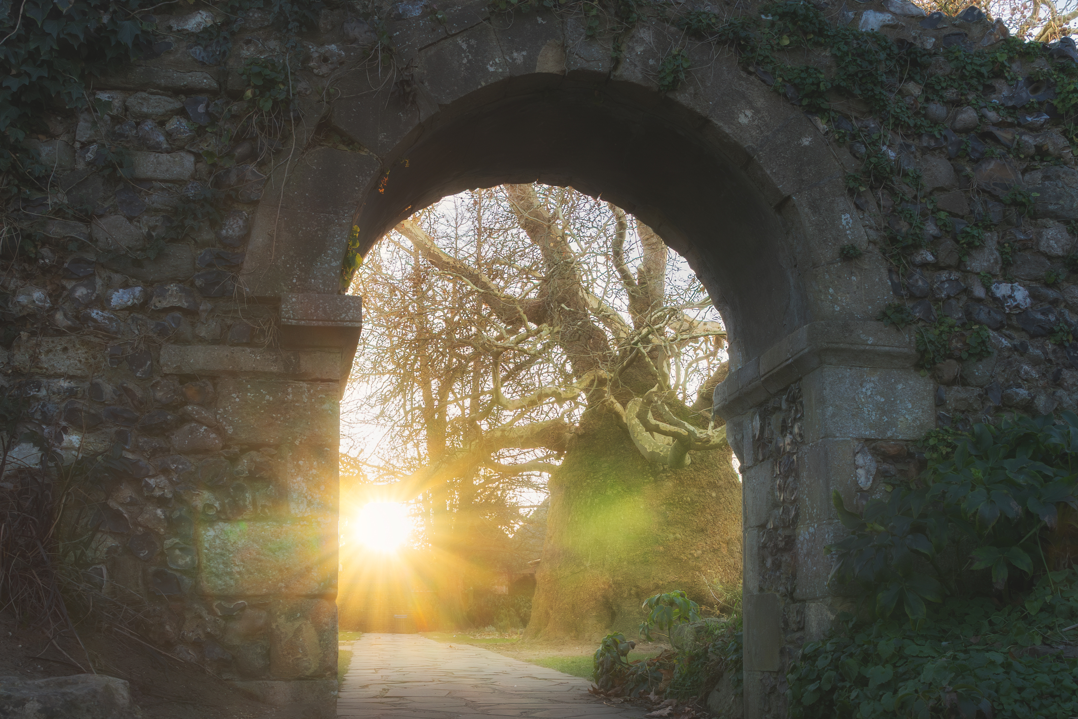 Stone archway opening to sunlight, symbolizing the threshold of deeper healing in ketamine-assisted therapy