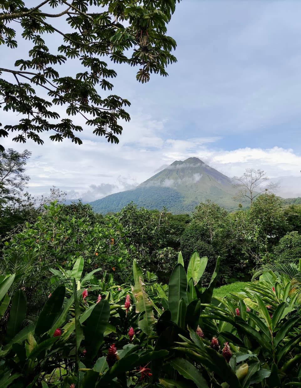 [background image] image of a welcoming reception area (for a automotive service).