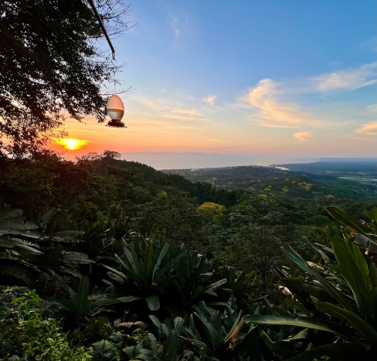 image of stunning wildlife in nature (for a travel agency)