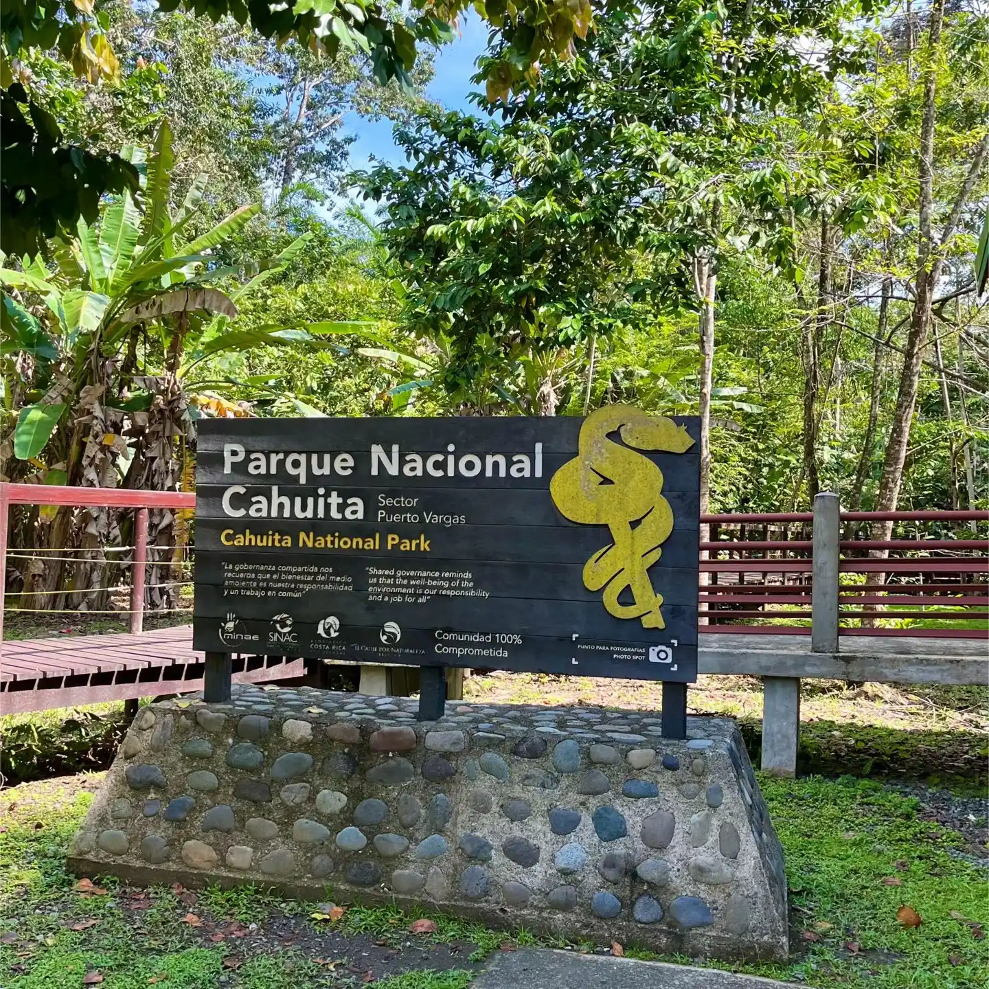 image of popular menu item #3: "organic smoothie bowl"