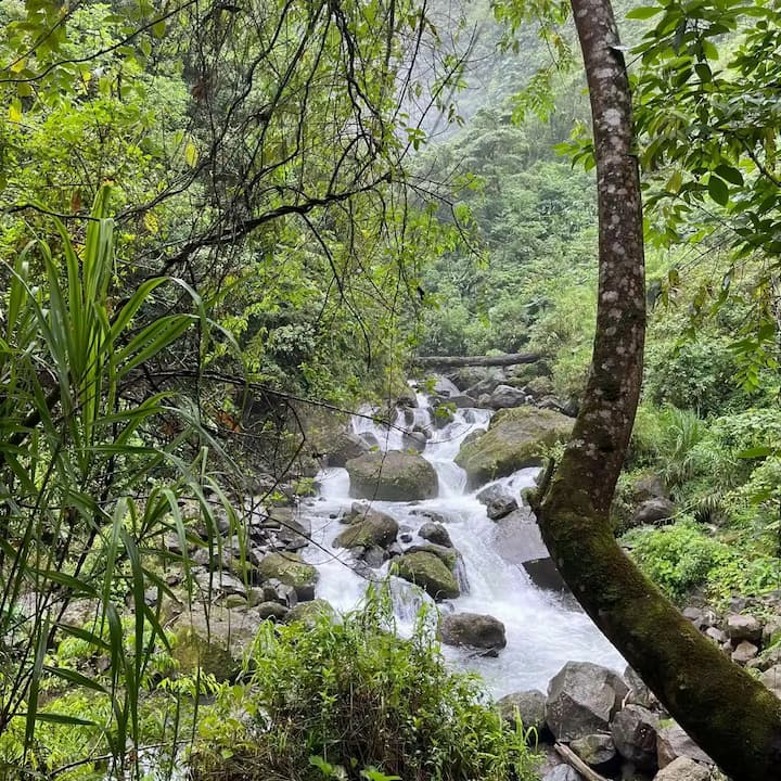 [digital project] image of pr tips infographic (for a pr firm)