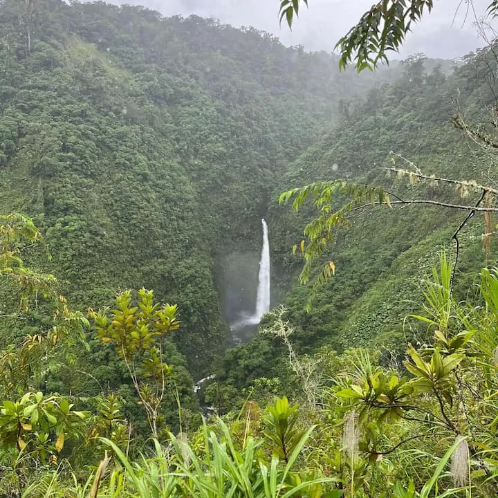 image of stunning wildlife in nature (for a travel agency)