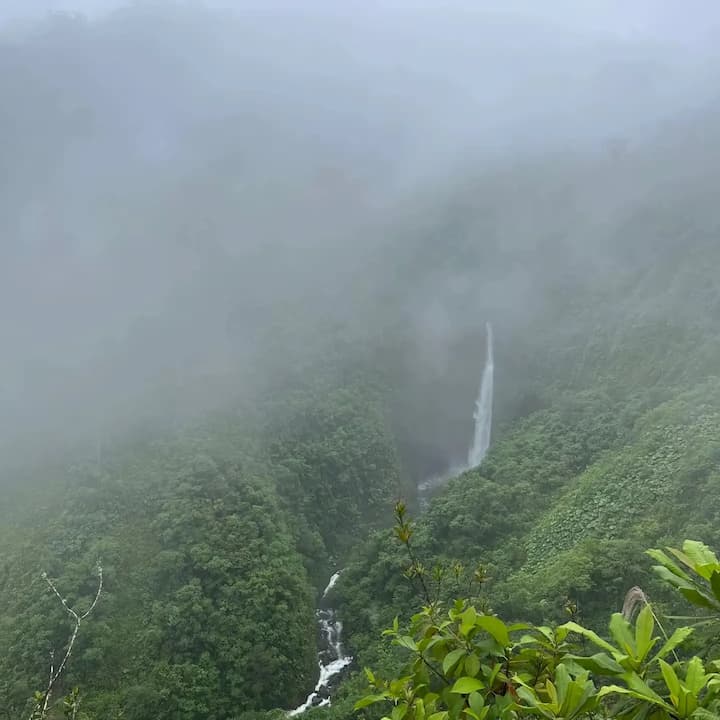 image of toy playing tips