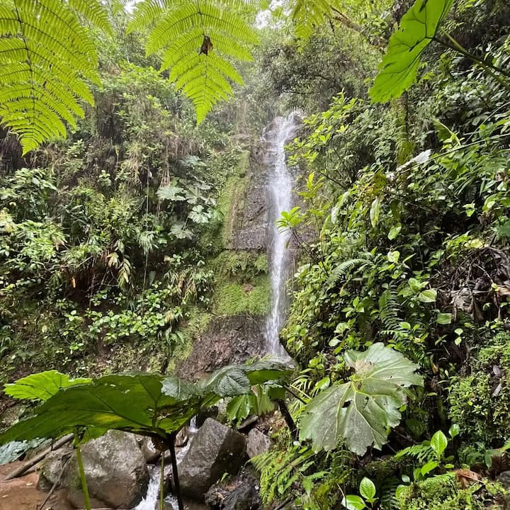 [digital project] image of pr tips infographic (for a pr firm)