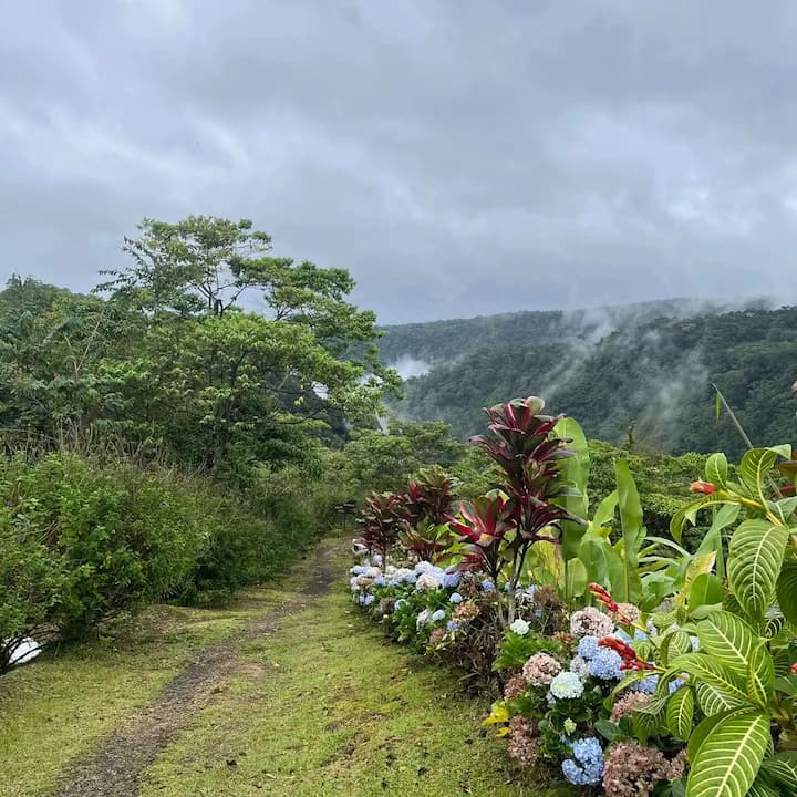 image of an exotic destination landscape (for a travel tech)