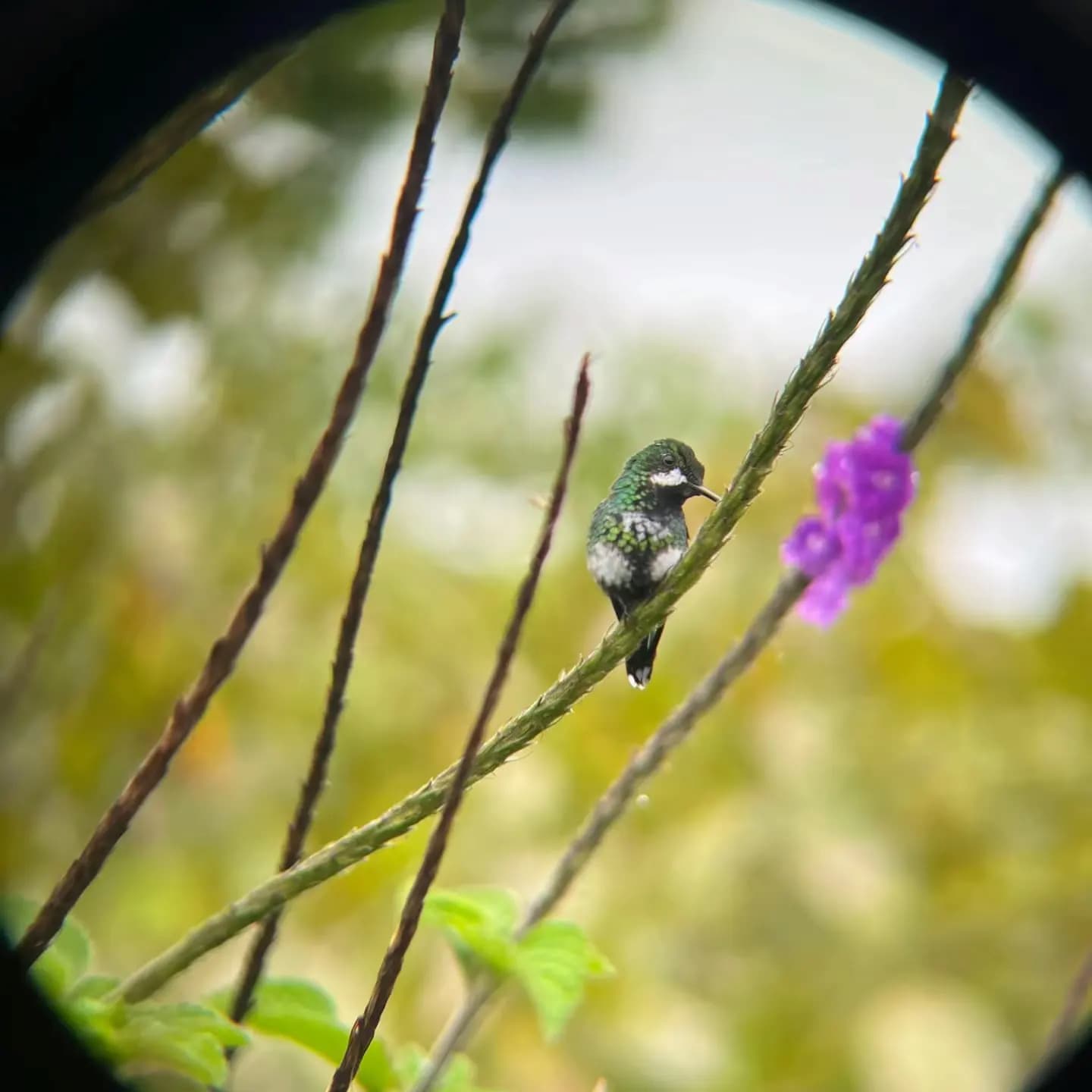 marine wildlife preservation