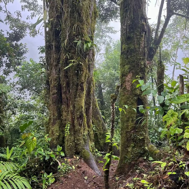 image of diverse wildlife in their natural habitats