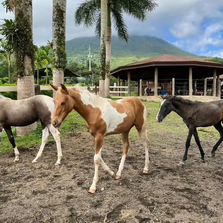 [digital project] image of pr tips infographic (for a pr firm)