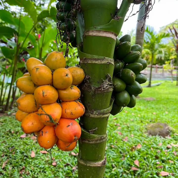 [digital project] image of pr tips infographic (for a pr firm)