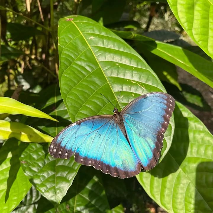 [digital project] image of pr tips infographic (for a pr firm)