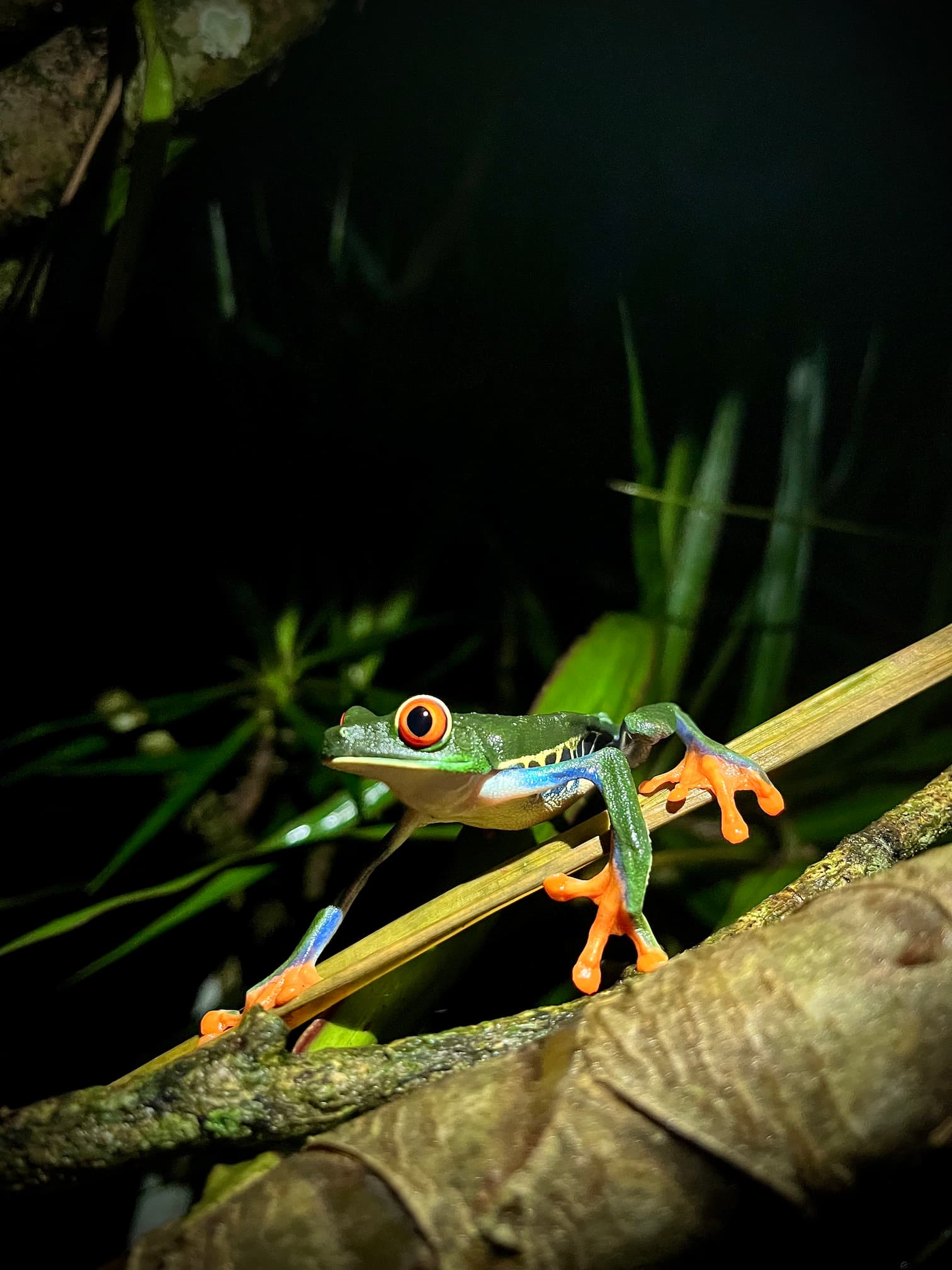 [digital project] image of pr tips infographic (for a pr firm)