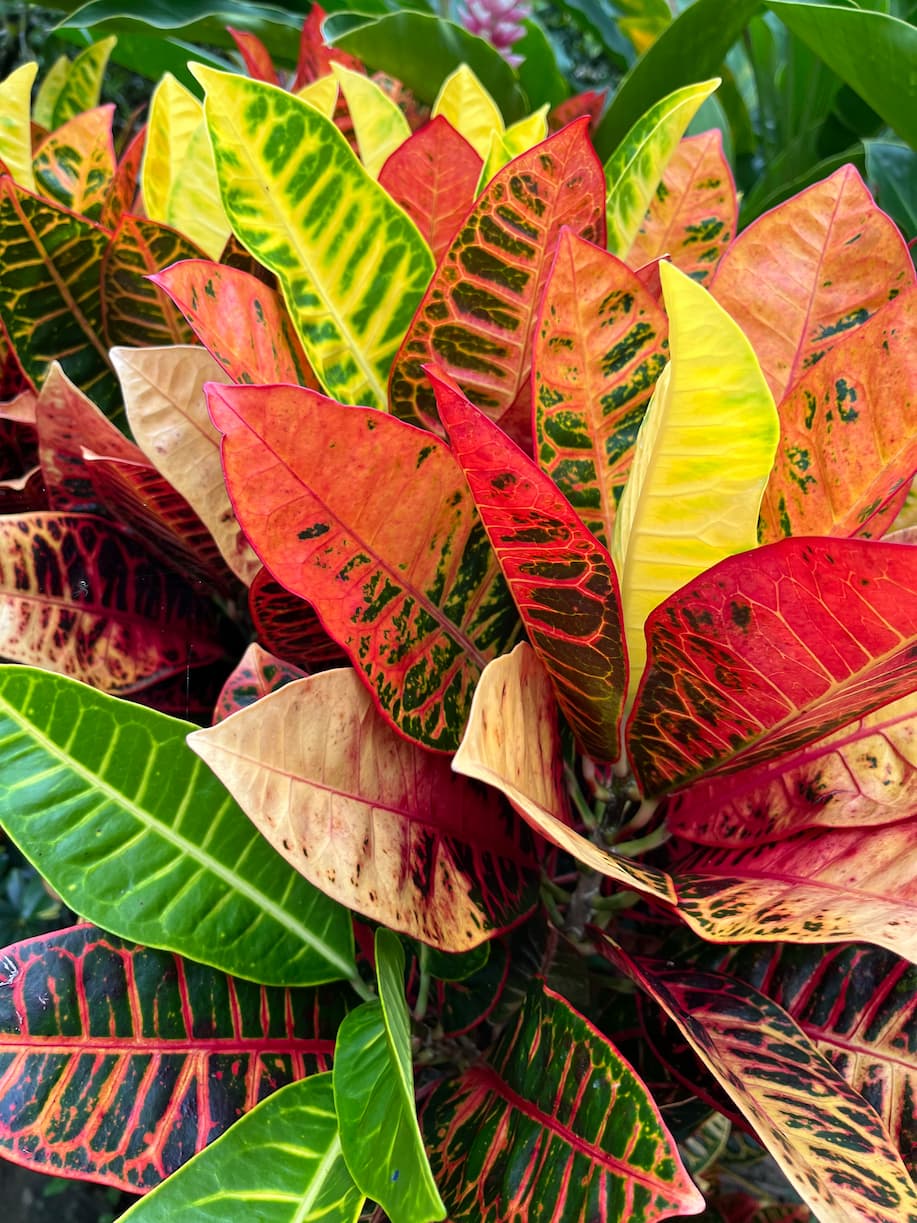 [digital project] image of pr tips infographic (for a pr firm)