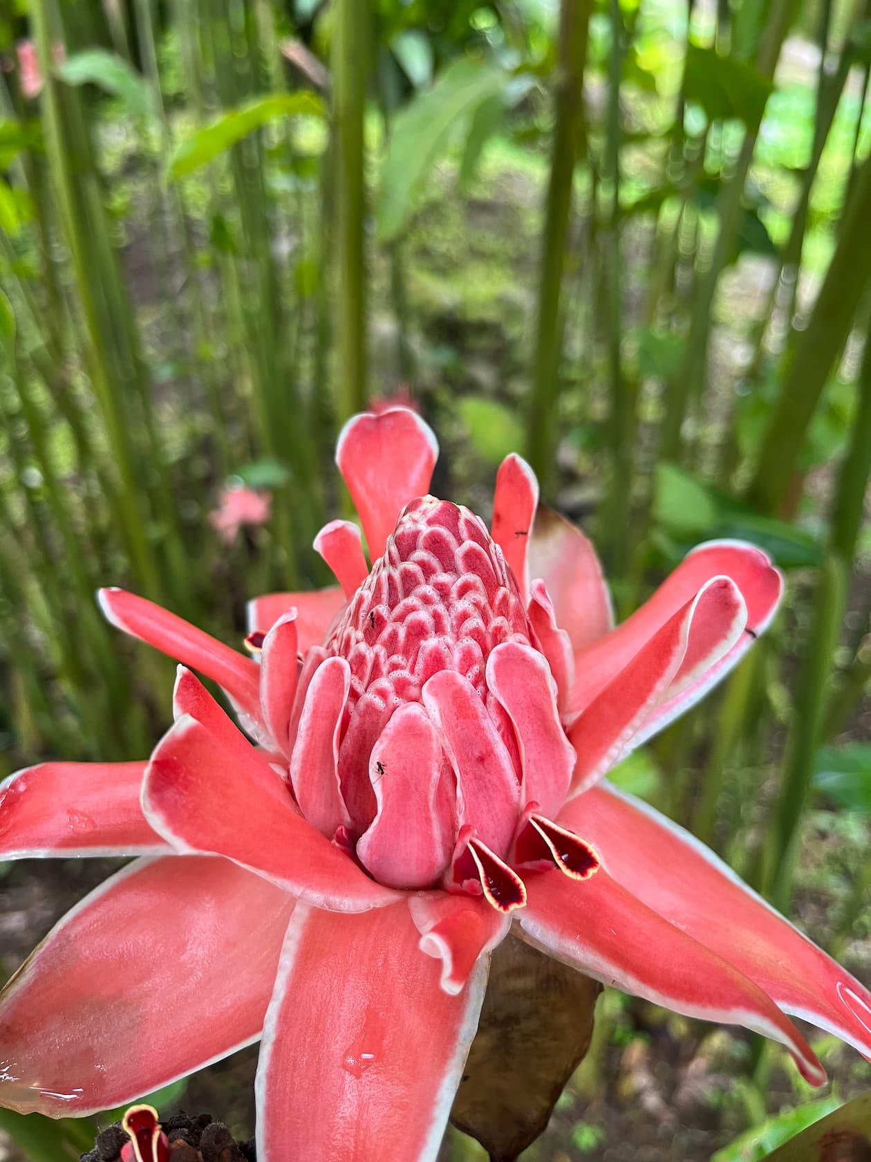 [digital project] image of pr tips infographic (for a pr firm)