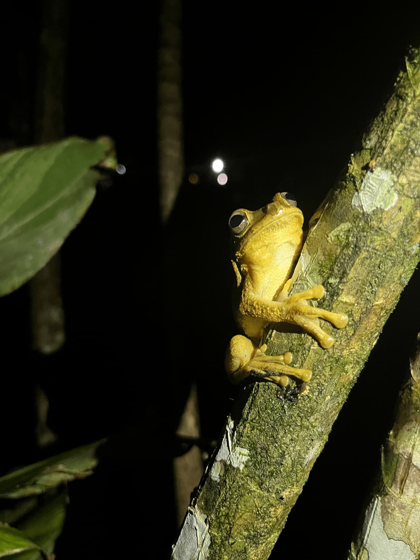 [digital project] image of pr tips infographic (for a pr firm)