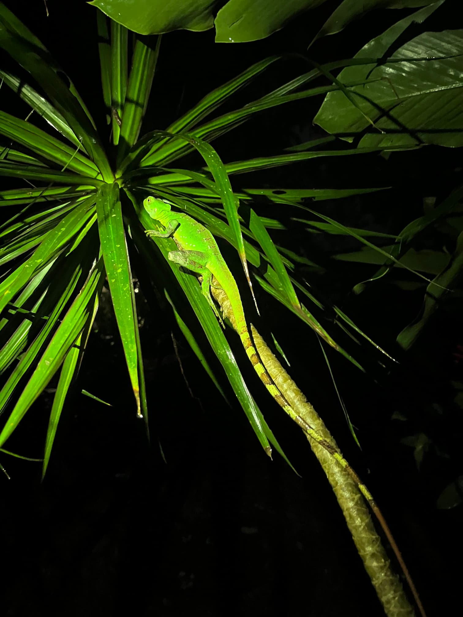 [digital project] image of pr tips infographic (for a pr firm)