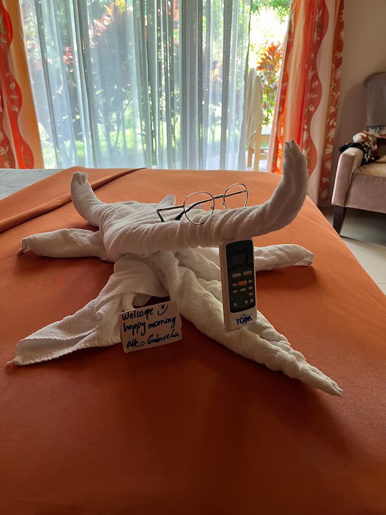 image of diverse wildlife in their natural habitats