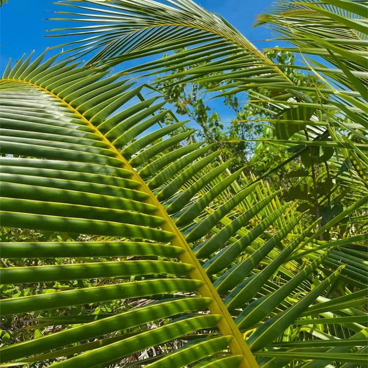 [digital project] image of pr tips infographic (for a pr firm)