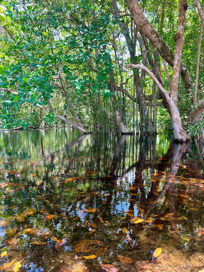 [digital project] image of pr tips infographic (for a pr firm)