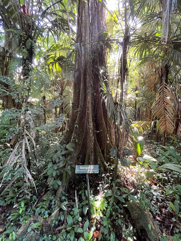 marine wildlife preservation