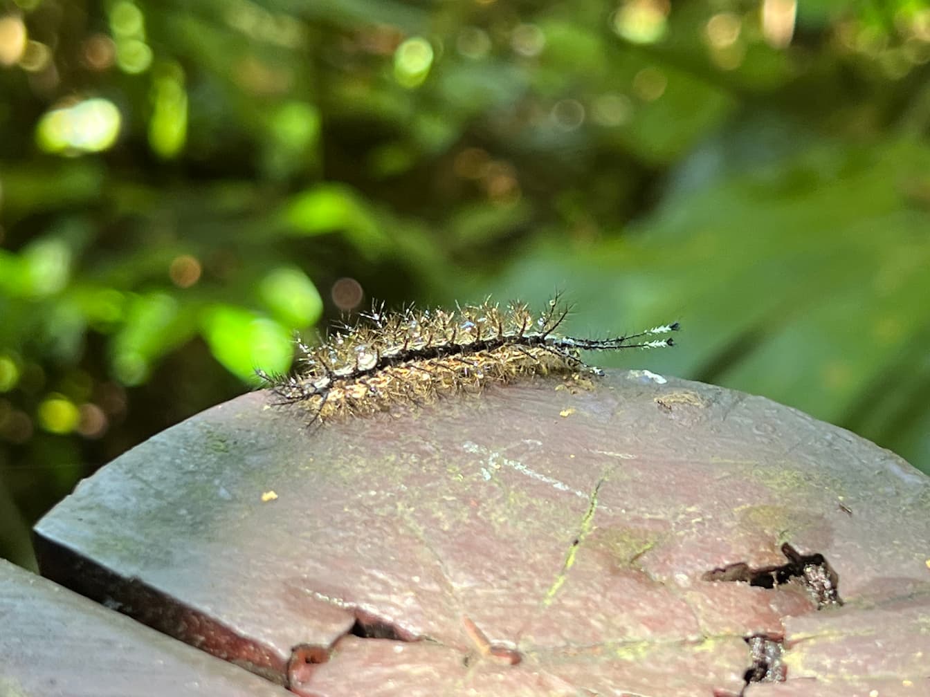 [digital project] image of pr tips infographic (for a pr firm)