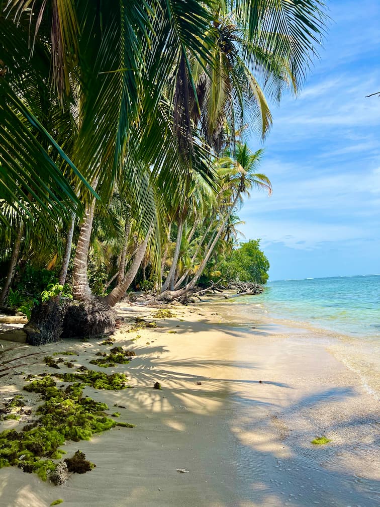 image of toy playing tips