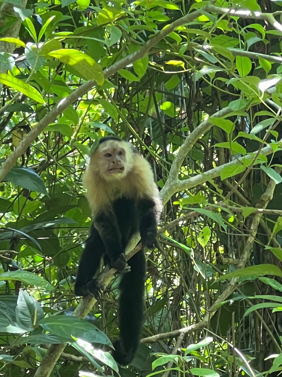 [digital project] image of pr tips infographic (for a pr firm)