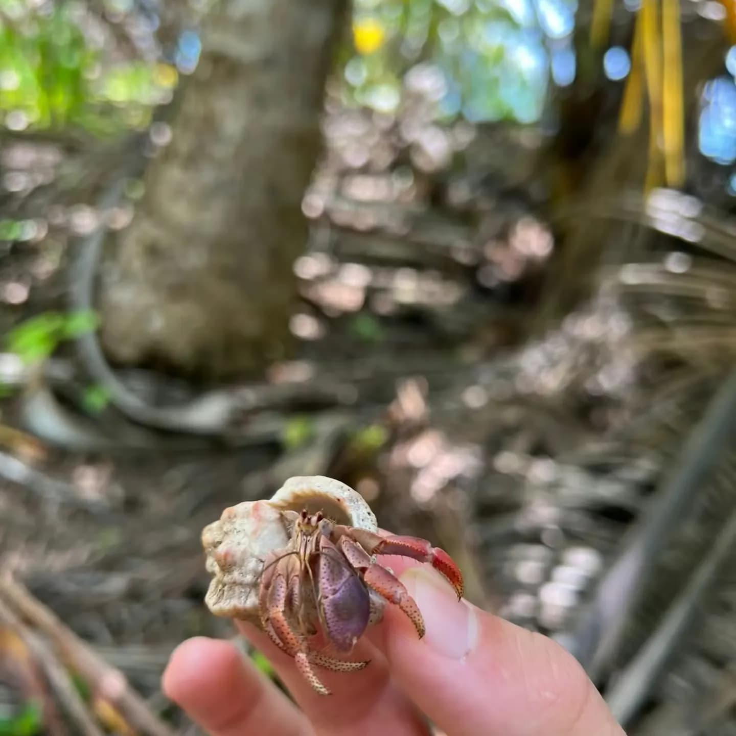 [digital project] image of pr tips infographic (for a pr firm)