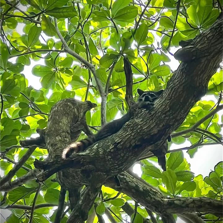 [digital project] image of pr tips infographic (for a pr firm)