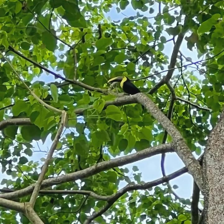 [digital project] image of pr tips infographic (for a pr firm)