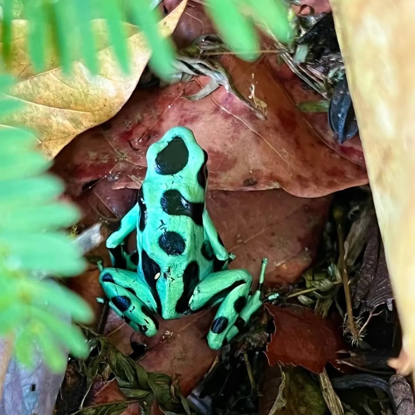 [digital project] image of pr tips infographic (for a pr firm)