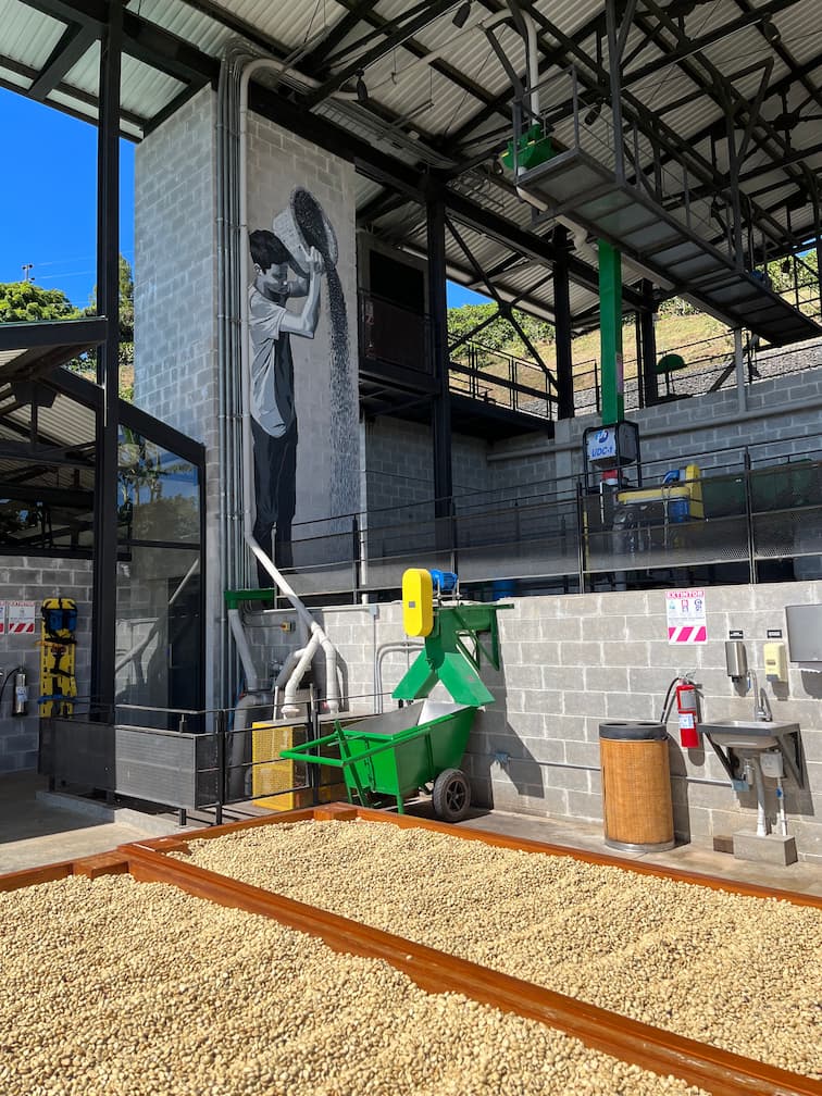 [digital project] image of pr tips infographic (for a pr firm)