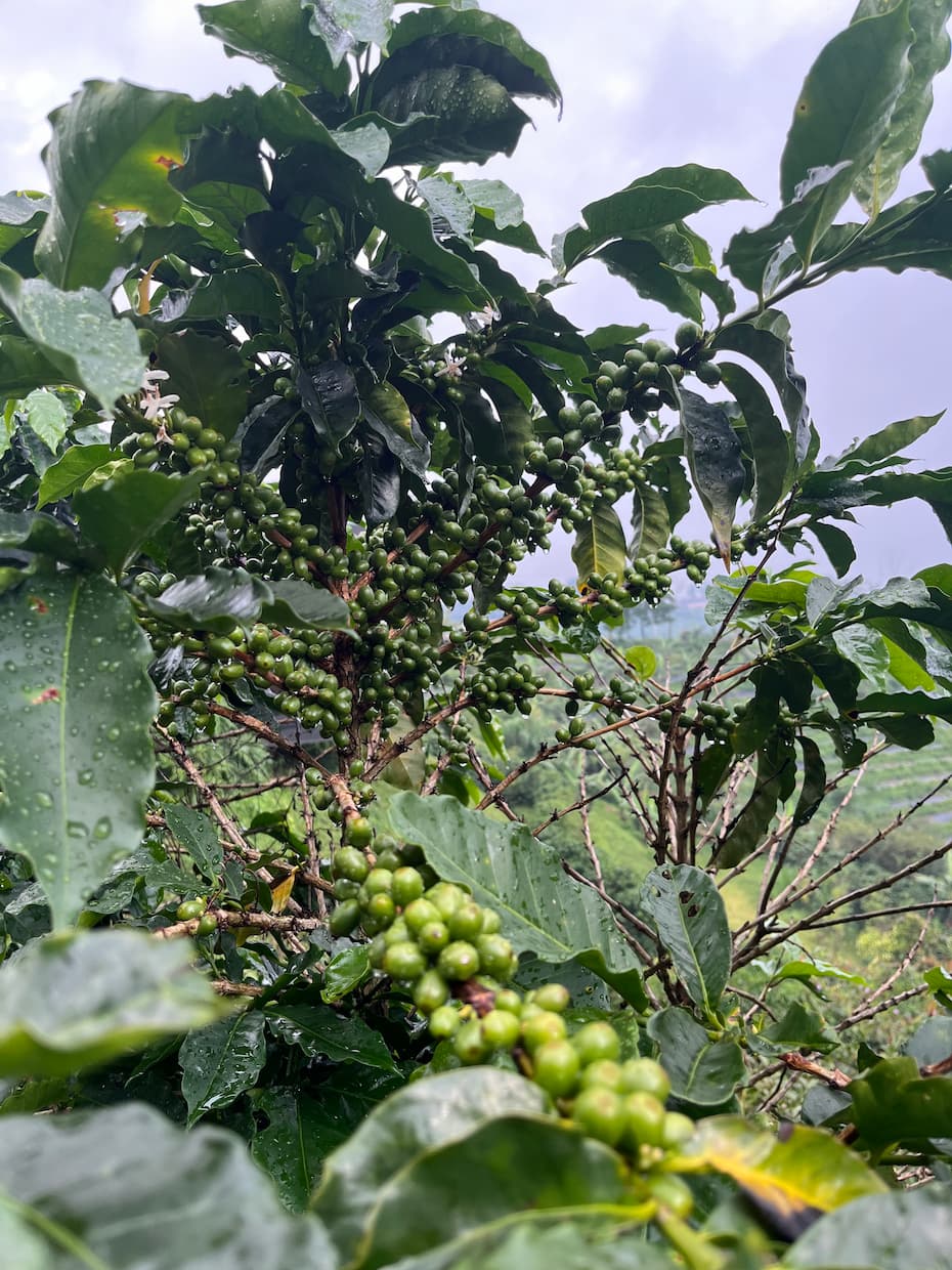 [digital project] image of pr tips infographic (for a pr firm)