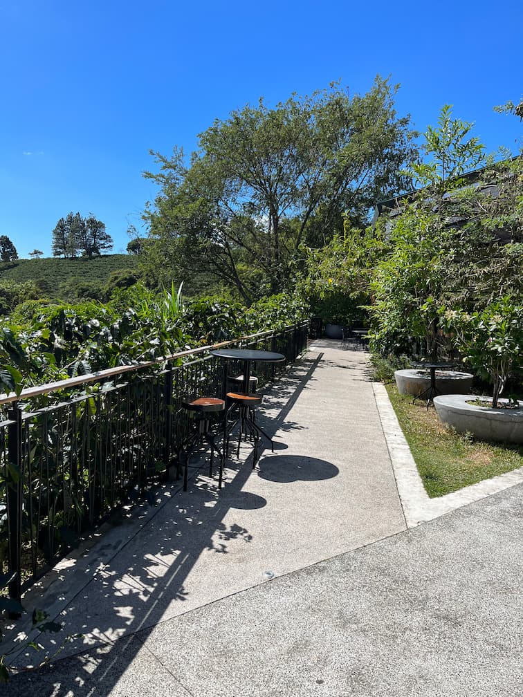 [digital project] image of pr tips infographic (for a pr firm)