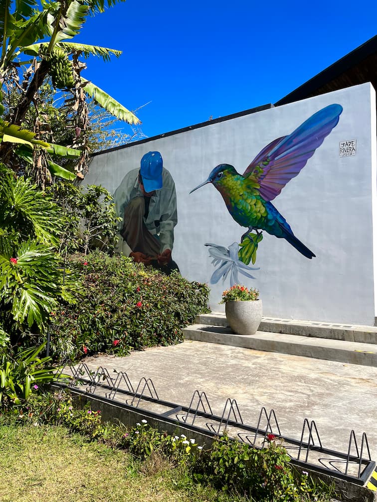 image of stunning wildlife in nature (for a travel agency)