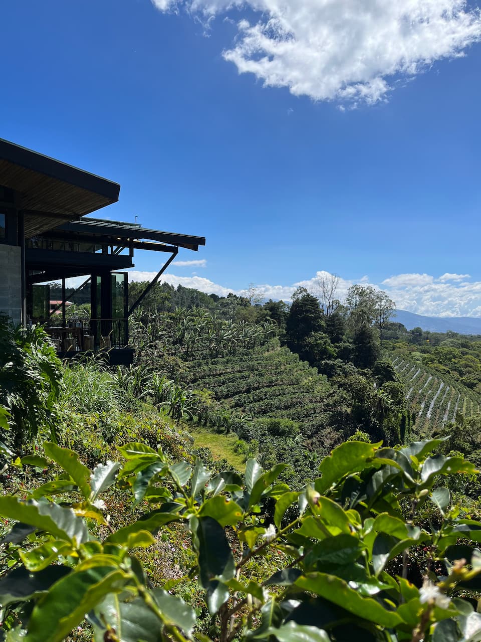 [digital project] image of pr tips infographic (for a pr firm)